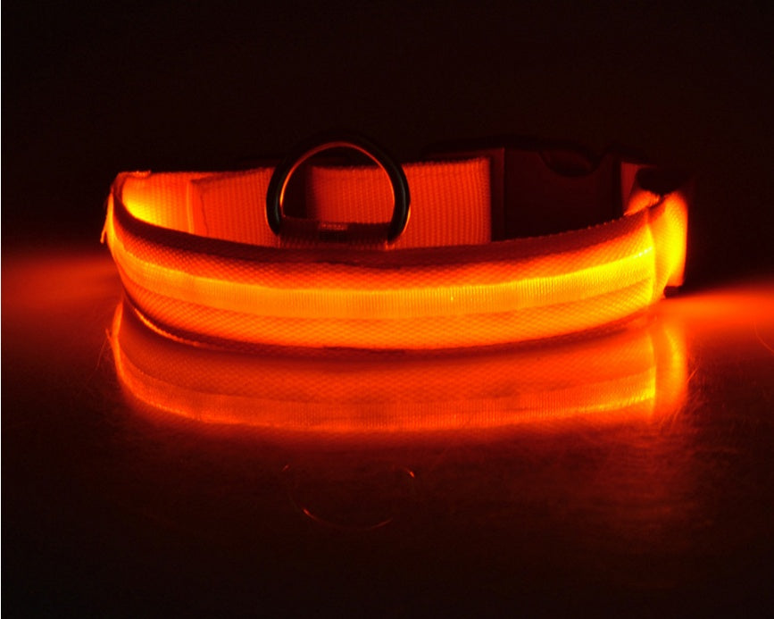 Nylon LED Pet Dog Luminous Collar Night Safety Flashing Glow in Dark Dog Cat Leash Adjustable Pet Supplies - Pet Perks Daily