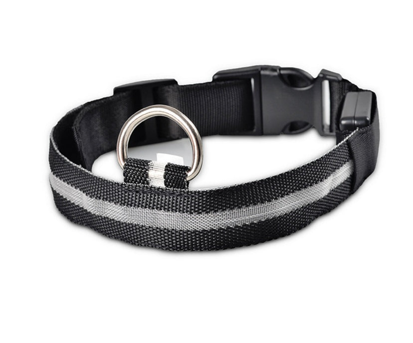 Nylon LED Pet Dog Luminous Collar Night Safety Flashing Glow in Dark Dog Cat Leash Adjustable Pet Supplies - Pet Perks Daily