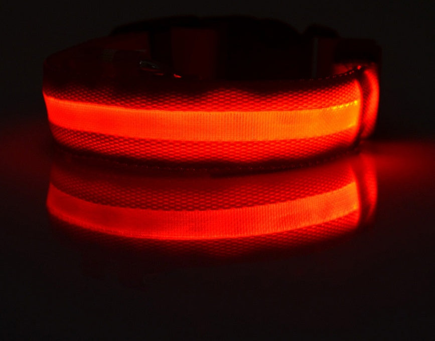 Nylon LED Pet Dog Luminous Collar Night Safety Flashing Glow in Dark Dog Cat Leash Adjustable Pet Supplies - Pet Perks Daily