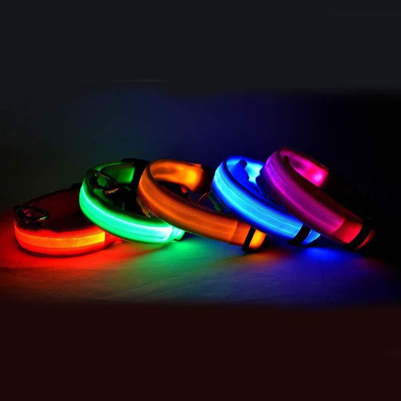Nylon LED Pet Dog Luminous Collar Night Safety Flashing Glow in Dark Dog Cat Leash Adjustable Pet Supplies - Pet Perks Daily