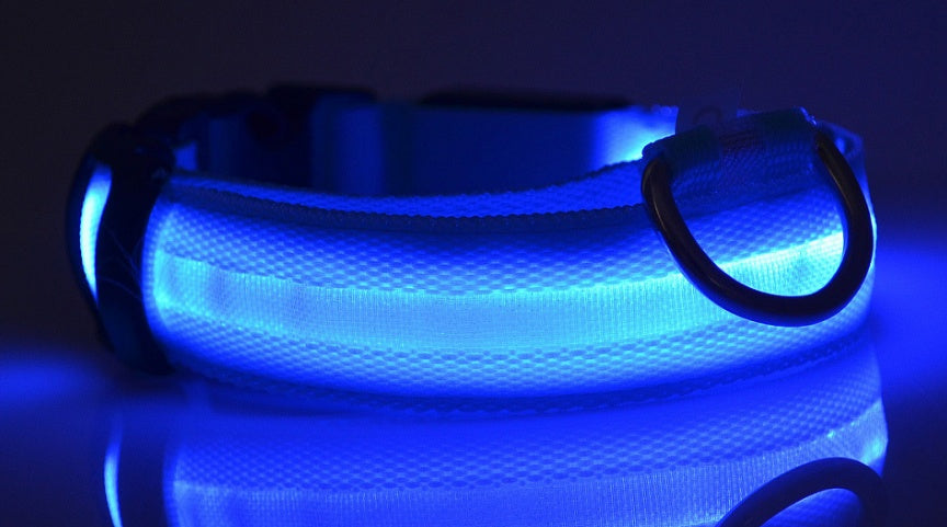 Nylon LED Pet Dog Luminous Collar Night Safety Flashing Glow in Dark Dog Cat Leash Adjustable Pet Supplies - Pet Perks Daily