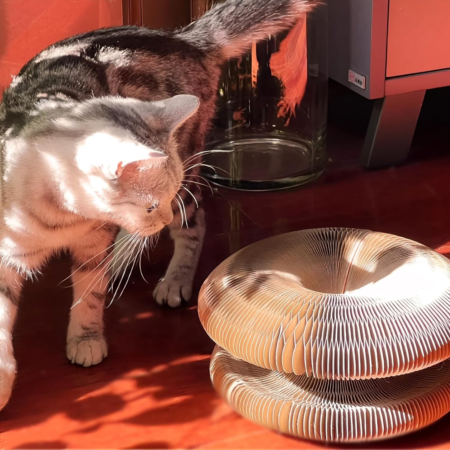 Magic Organ Cat Toy, 1PC Magic Organ Cat Scratching Board, Magic Organ Cat Scratch Board Cat Toy