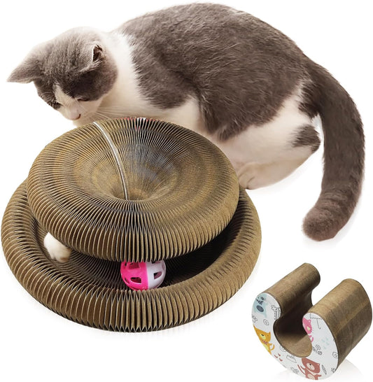 Magic Organ Cat Toy, 1PC Magic Organ Cat Scratching Board, Magic Organ Cat Scratch Board Cat Toy