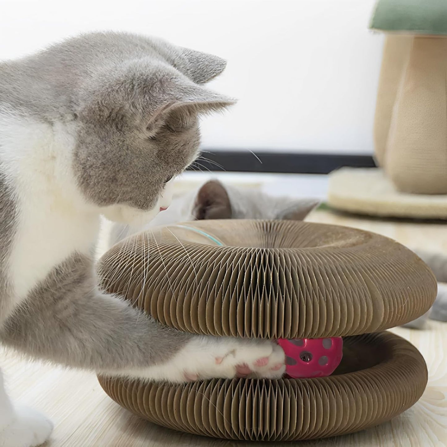 Magic Organ Cat Toy, 1PC Magic Organ Cat Scratching Board, Magic Organ Cat Scratch Board Cat Toy