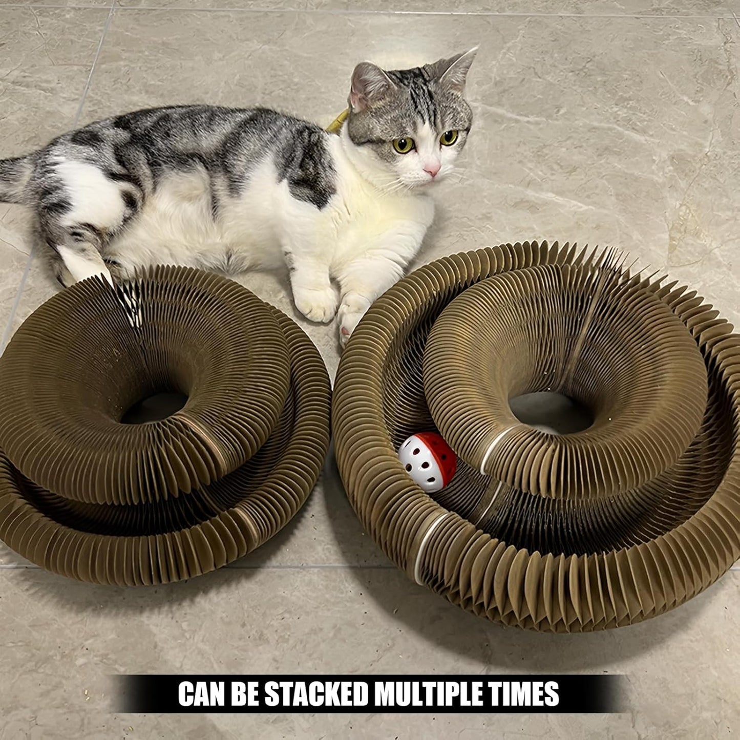 Magic Organ Cat Toy, 1PC Magic Organ Cat Scratching Board, Magic Organ Cat Scratch Board Cat Toy